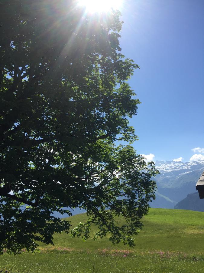 Hotel & Restaurant Stadthof Glarus Dış mekan fotoğraf
